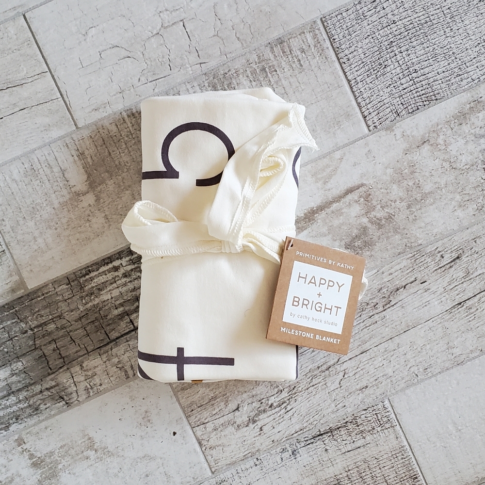 NEW Baby Milestone Month Blanket